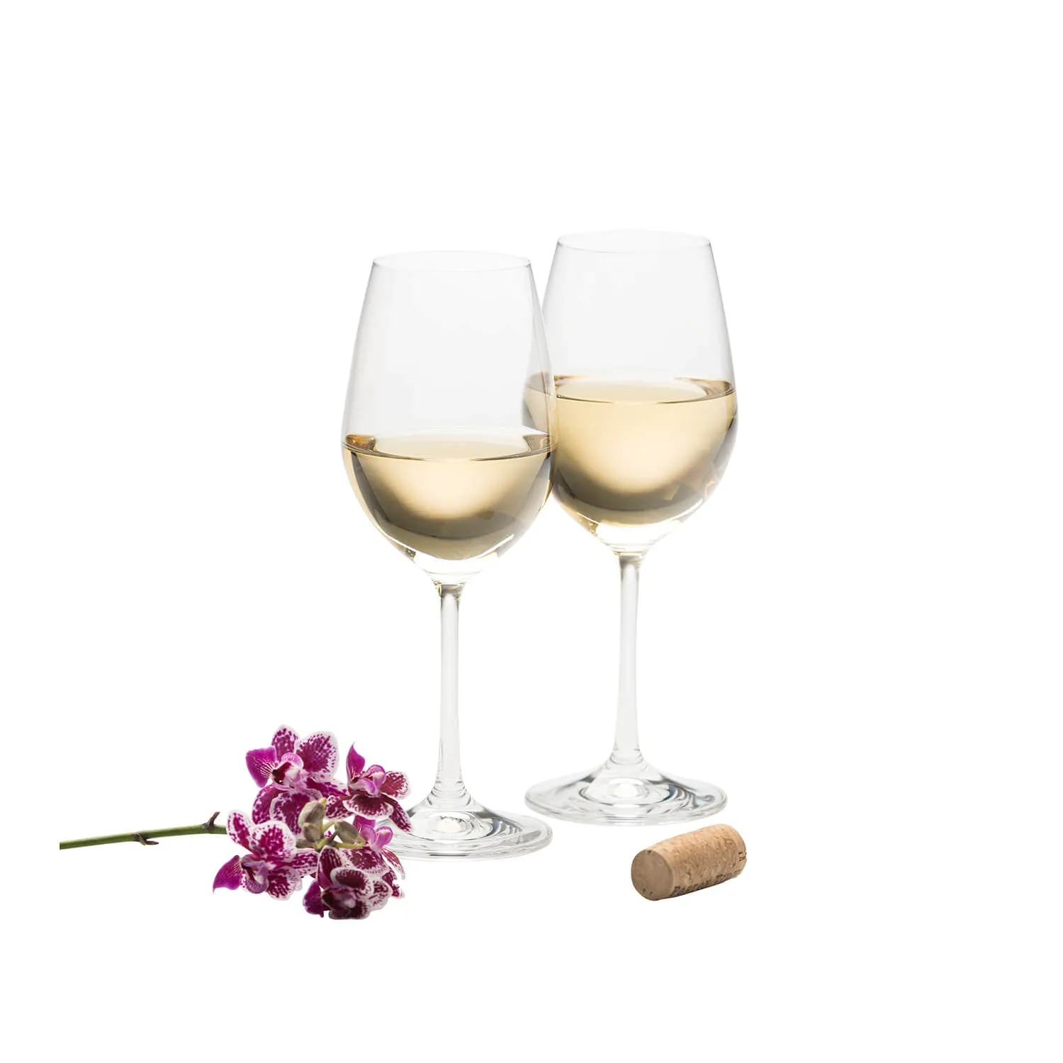 Elegance White Wine Glasses Pair