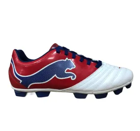 Puma men's football boot PowerCat 4.12 r HG 102483 04 white red blue