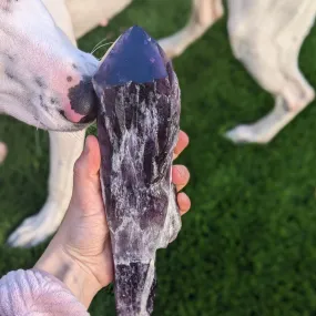 Very Unique, EX Large A Grade Natural Uruguay Amethyst Root Crystal with Frosting and Gorgeous Phantoms~ Tucson Exclusive!